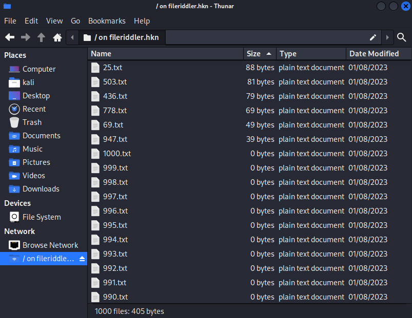 Thunar fileriddler.hkn